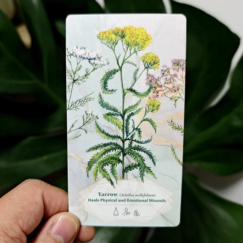 52 Cards To Enhance Body, Mind & Spirit 11*6cm The Essential Oils Healing Deck