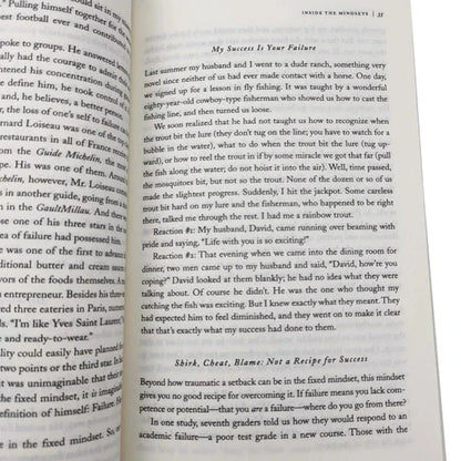 Mindset: the New Psychology of Success by Carol S. Dweck - English Book Foreign Literature Inspirational Reading Material