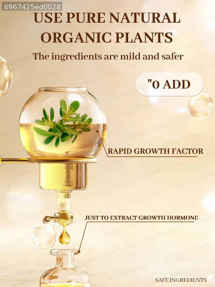 Hair Care Essential Oil: Maintains Hair Follicles in Optimal Condition and Strengthens Hair Strands.