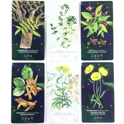 11*6cm The Essential Oils Healing Deck To Enhance Body, Mind & Spirit 52 Cards