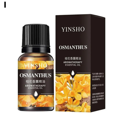10PCS Essential Fragrance Oil for DIY Candles Making Pure Nature Oil for Diffuser Aromatherapy Fragrance Oil Vanilla Lavender