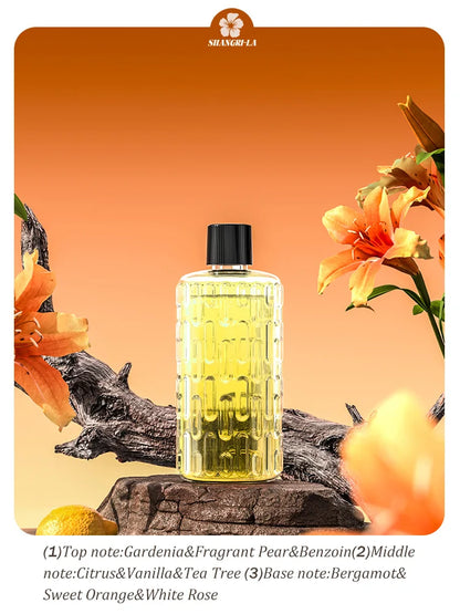 Automatic aromatherapy diffuser for eliminating odors, suitable for household use, with essential oil for air freshening.