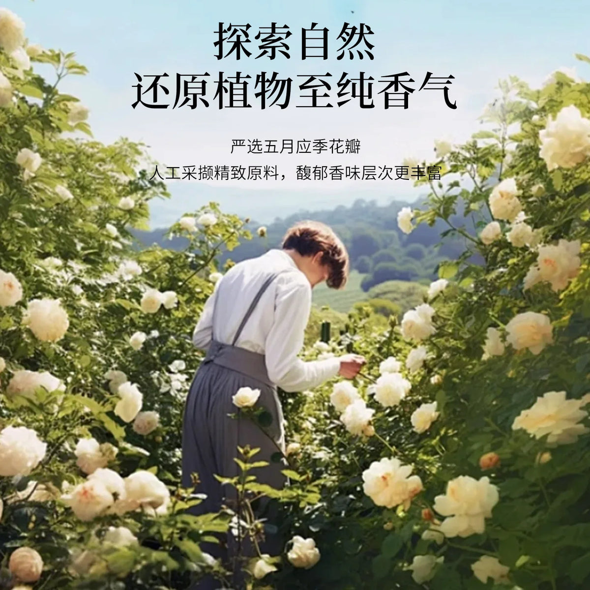 New high-end car aromatherapy with long-lasting fragrance and solid ointment for mountain viewing