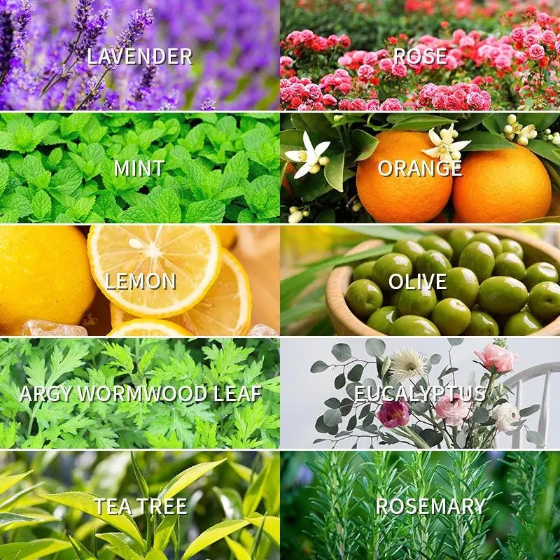 10Ml Natural Essential Oil Multi-Use Body Massage Oil For Skin Care Aromatherapy Relax Sleep Stress Relief Aroma Essential Oil