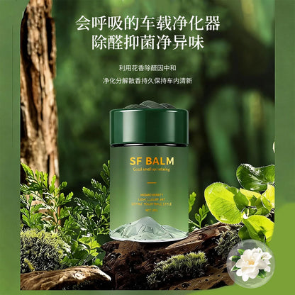 New high-end car aromatherapy with long-lasting fragrance and solid ointment for mountain viewing