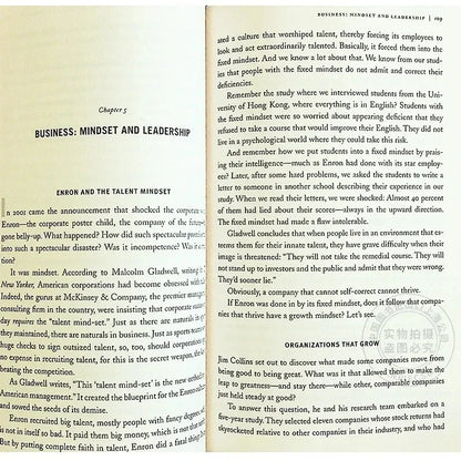 Mindset: the New Psychology of Success by Carol S. Dweck - English Book Foreign Literature Inspirational Reading Material