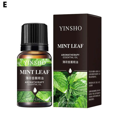 10PCS Essential Fragrance Oil for DIY Candles Making Pure Nature Oil for Diffuser Aromatherapy Fragrance Oil Vanilla Lavender